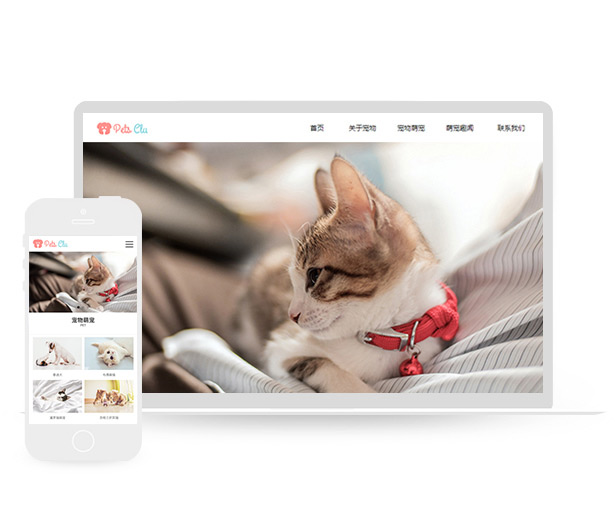 宠物店宠物医院宠物公益机构网站