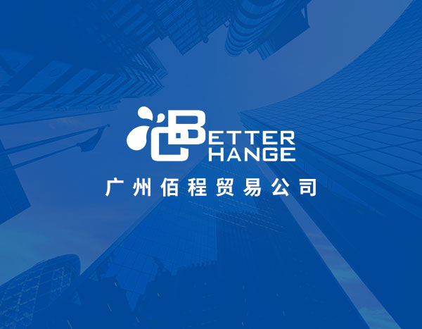 广州佰程贸易网站制作