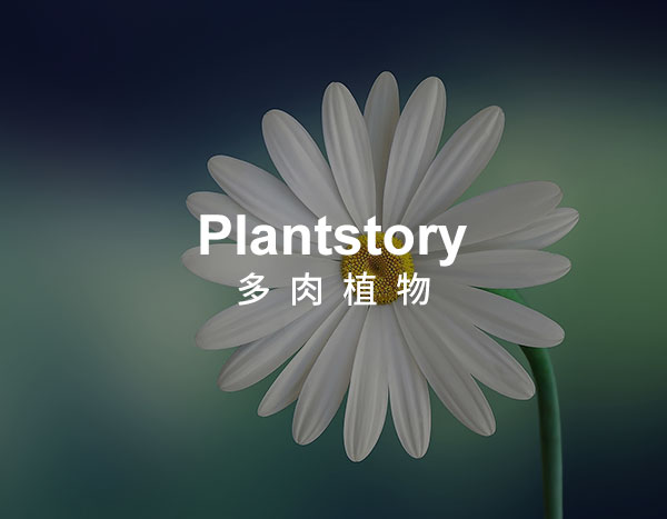多肉植物企业官网
