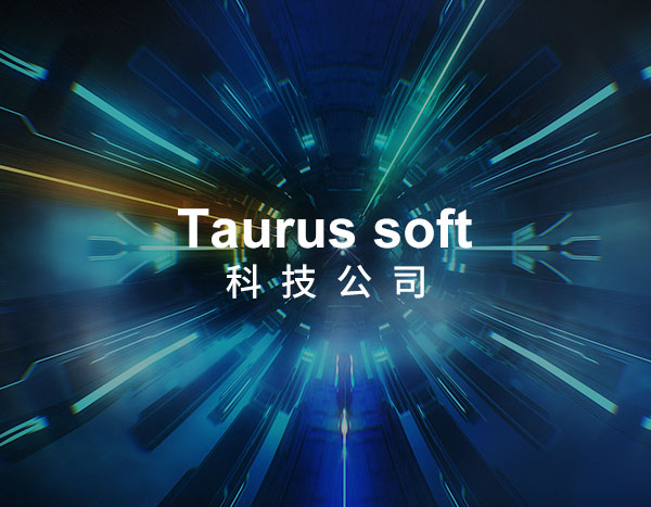 TAURUS科技网站建设
