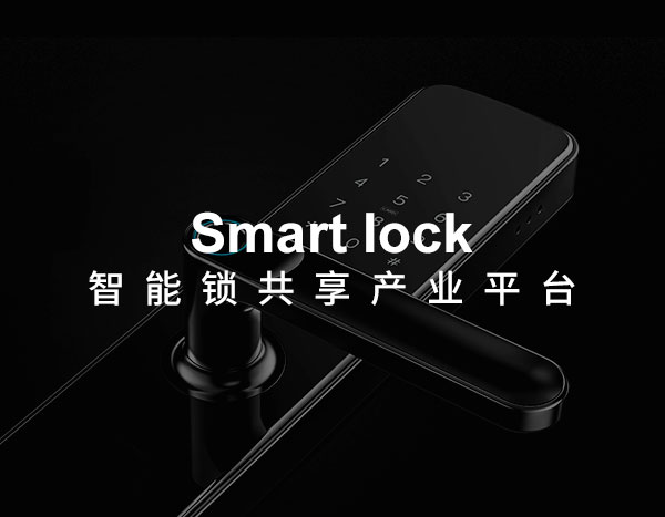 智能锁共享平台网站定制