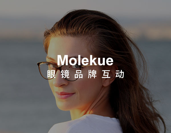 眼镜品牌网站建设