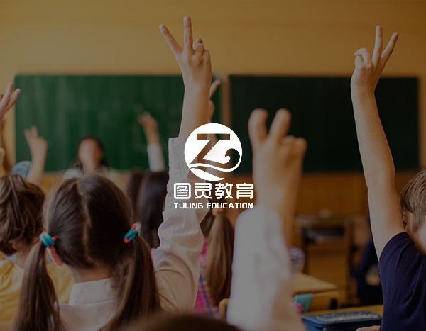 图灵教育网站定制