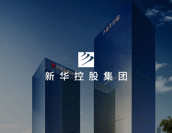新华集团官网UI设计