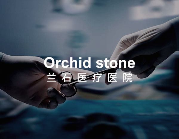 上海兰石医疗响应式网站